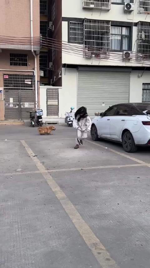 哈哈哈哈 笑死我了 被狗追摔倒了狗总能在人群之中找出最害怕他的那个|_新浪新闻