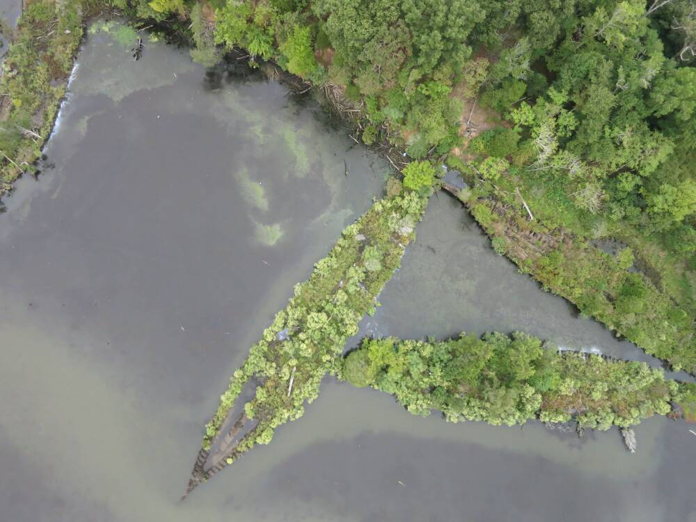 “幽灵舰队”的沉船逐渐成为岛屿，改变了锦葵湾的海岸与水生栖息地。图片来源：杜克大学