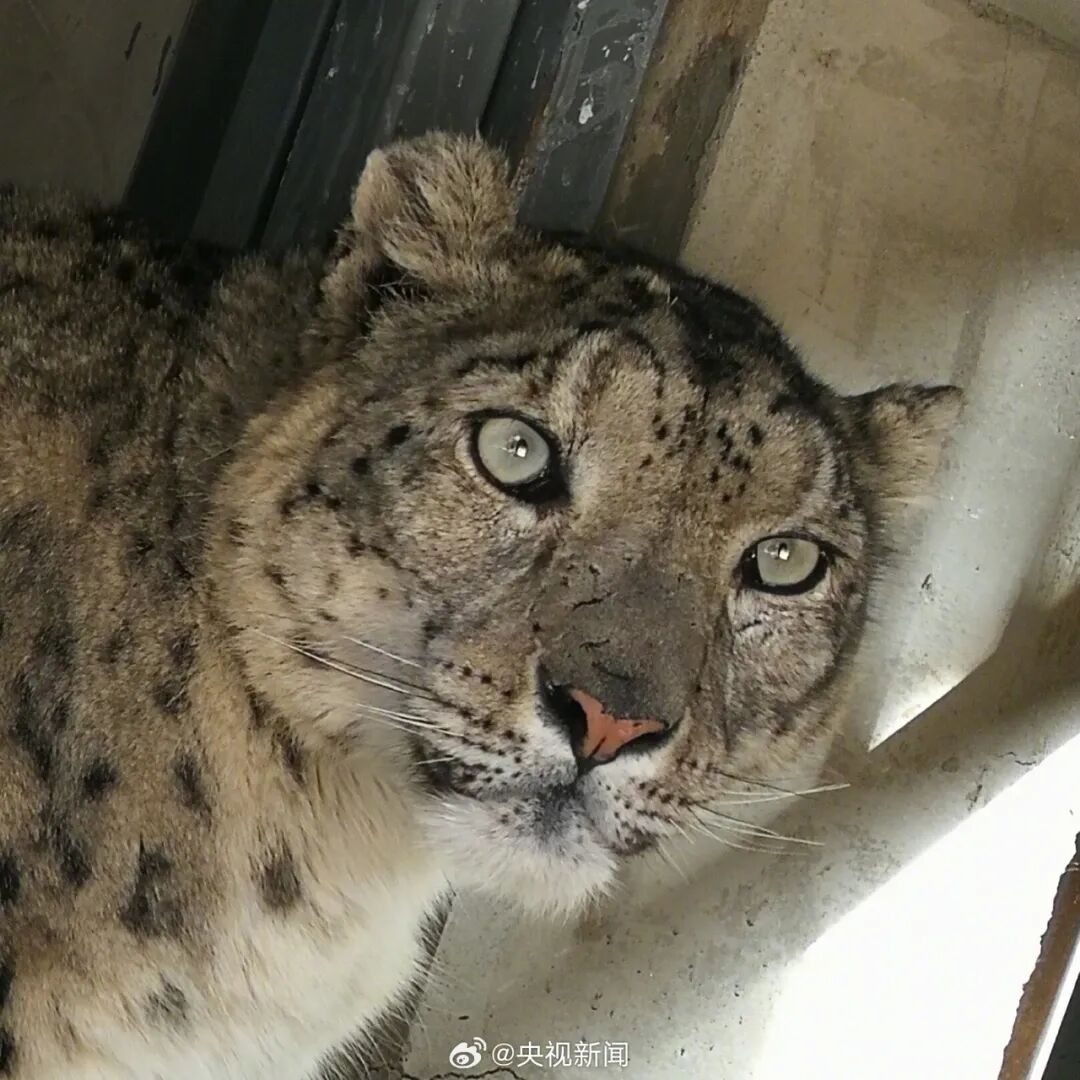 图片来源: