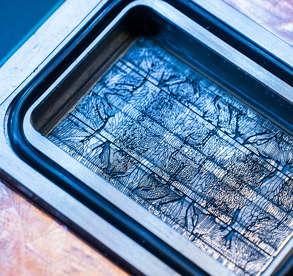 图 | 微软展示芯片内的微流控通道（来源：微软）