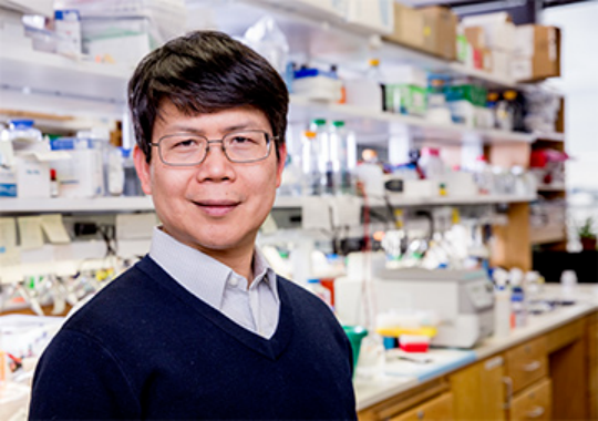 这位华人,今年有望拿诺贝尔奖