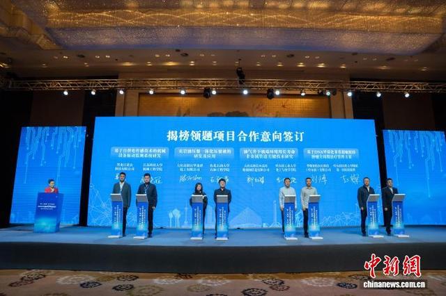 活动现场举行揭榜领题项目合作意向签订仪式。 共青团黑龙江省委供图