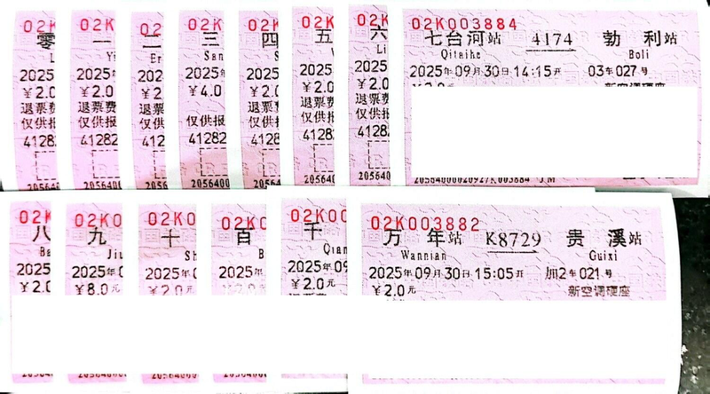 2025年的车票。读者“旺仔刘奶糖”供图