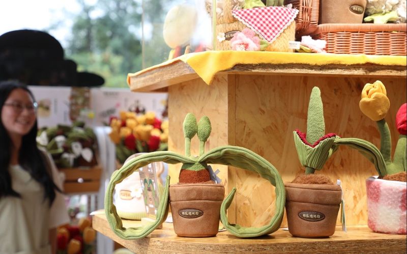 继巨魔芋之后，国家植物园又将一款镇园之宝——千岁兰开发成文创产品。国家植物园供图