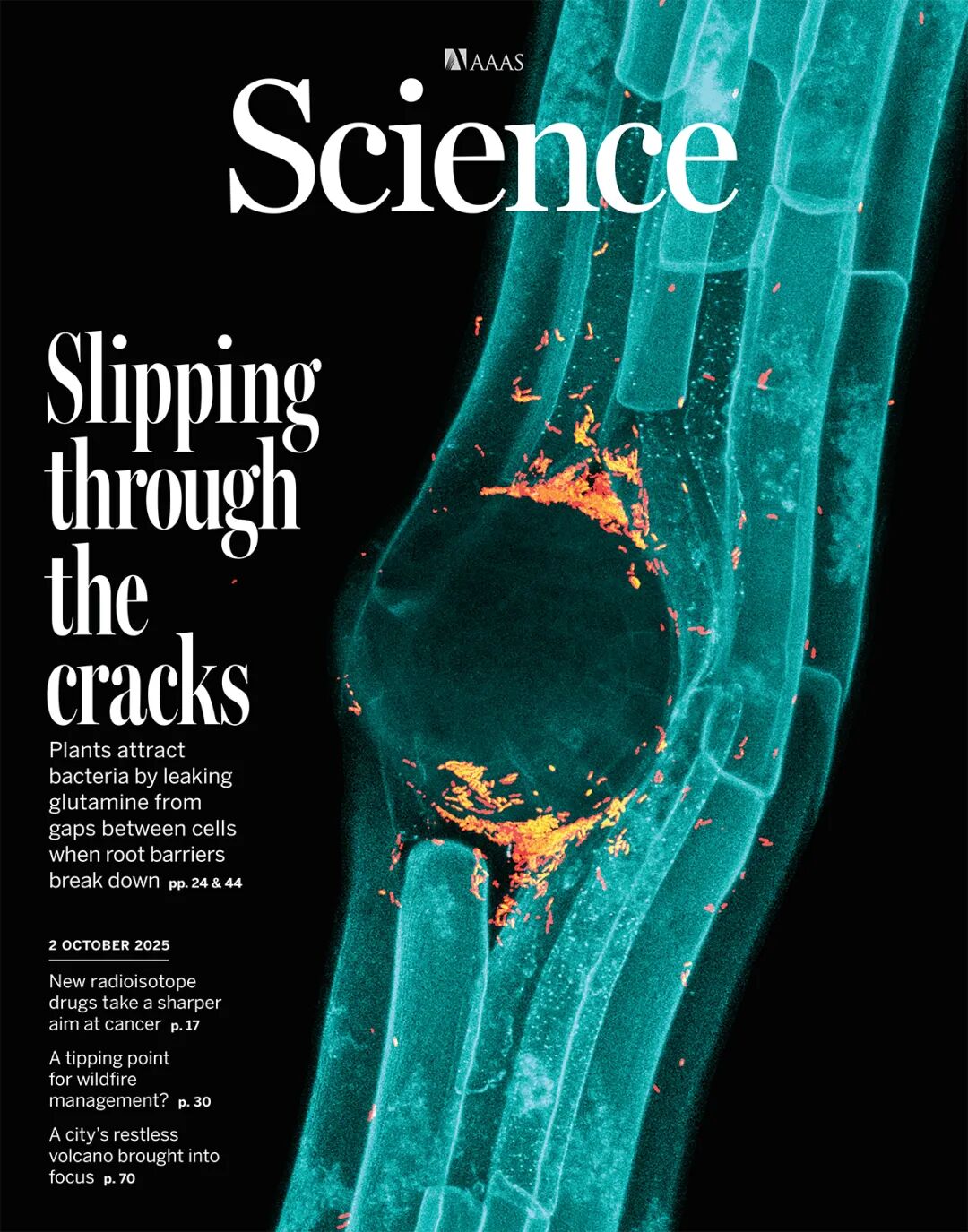 中国科学院最新论文，登上Science封面|论文|酰胺|微生物