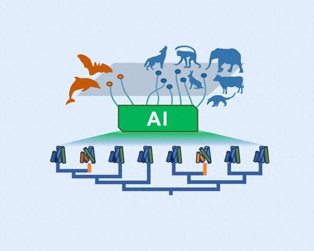 研究示意图（中国科学院动物研究所提供）