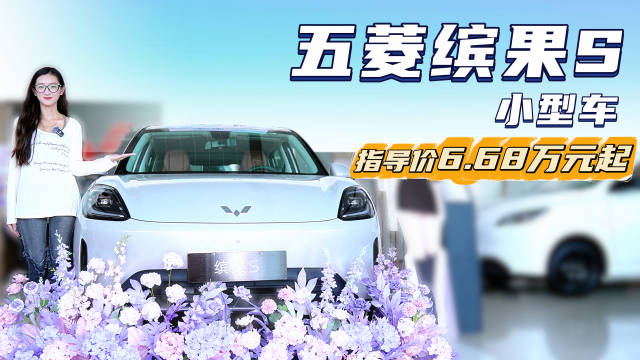 优惠后6.38万起 2025款五菱缤果S 能否成为<em>小型</em><em>车</em>热门之选？