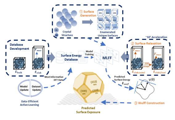 图1 SurFF整体框架