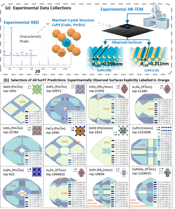 图4 与实验对比