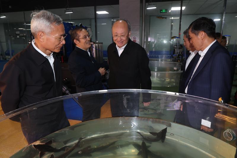 察看智慧渔业养殖模式