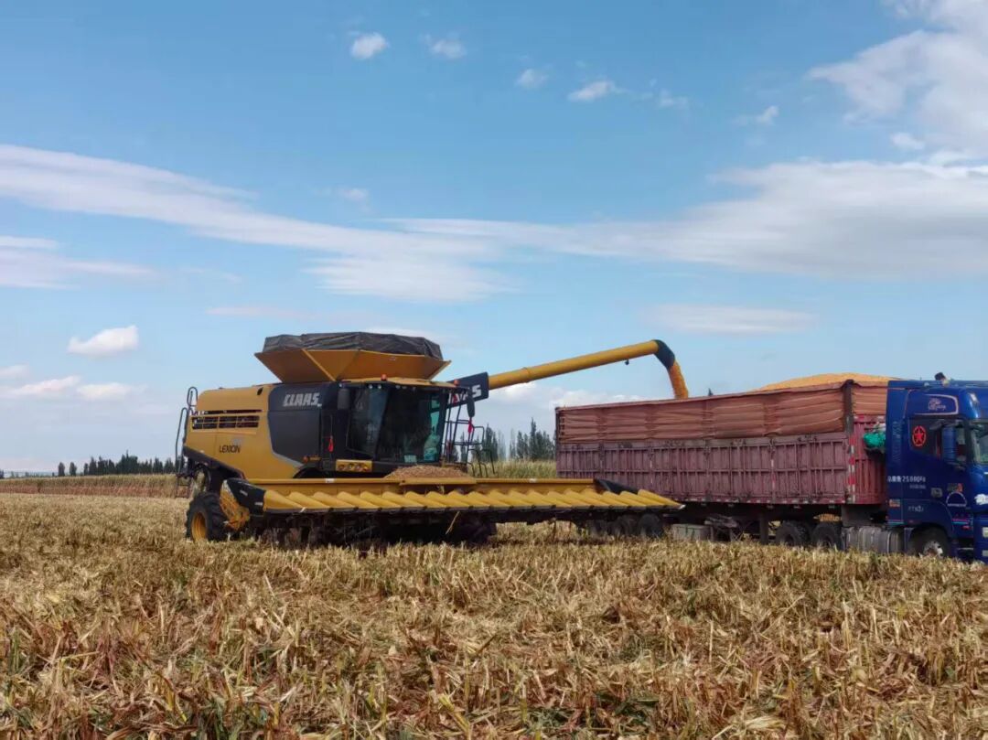 图片来源：中国农业科学院作物科学研究所