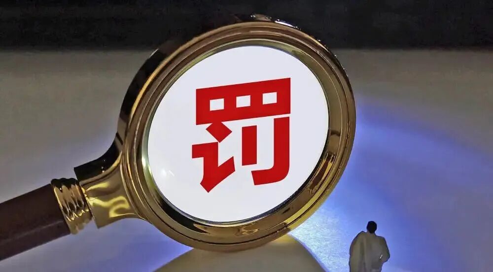 上市公司造假帮凶遭重罚|上海市_新浪财经_新浪网