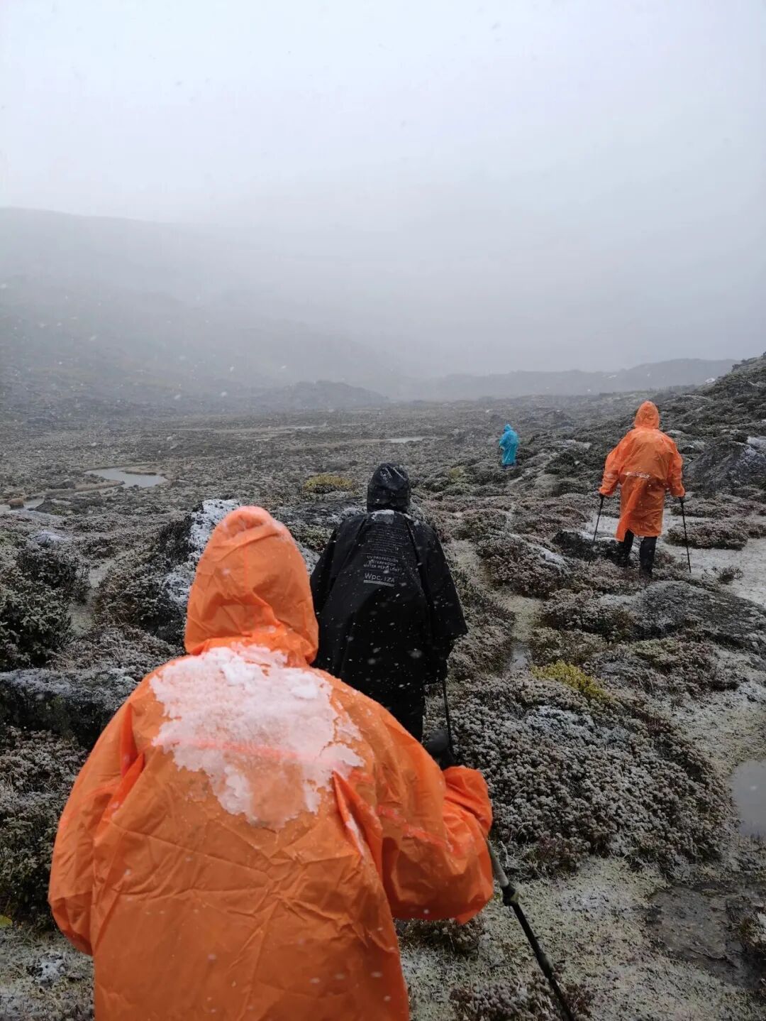 雪砸在徒步者身上/海子供图