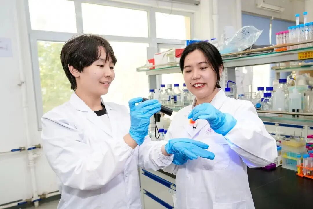 南开大学材料科学与工程学院青年教师曾乐与化学学院青年教师蔡佳蓉（左一）。图片来源：南开大学