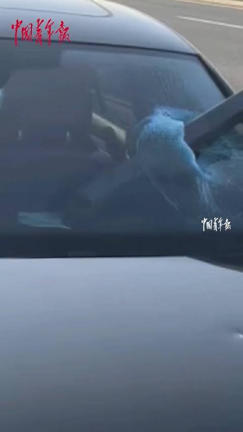 高速上前车<em>行李</em><em>架</em>脱落砸中后车