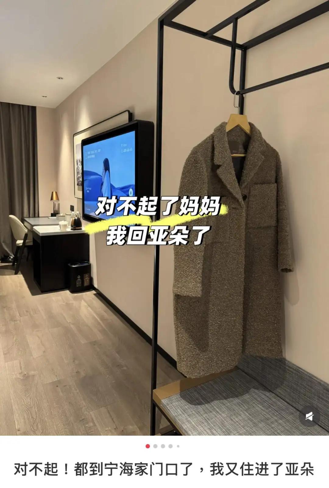 ▲图源小红书@王淡定,已授权