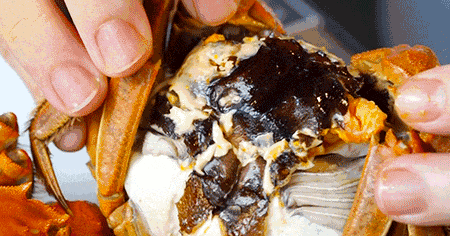 来源：央视三农