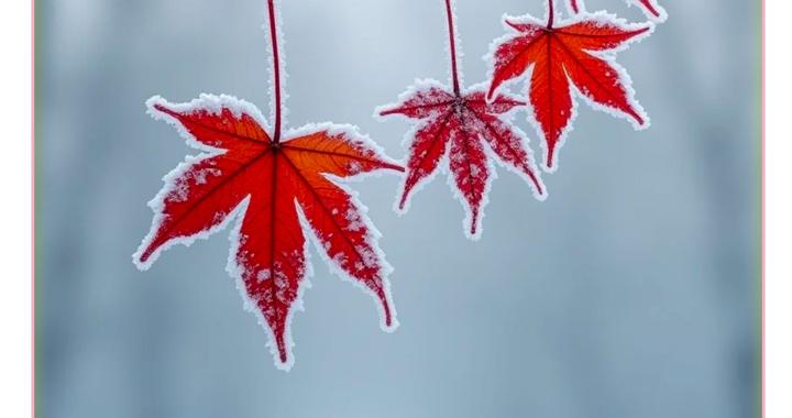 每日一吉丨10月19日