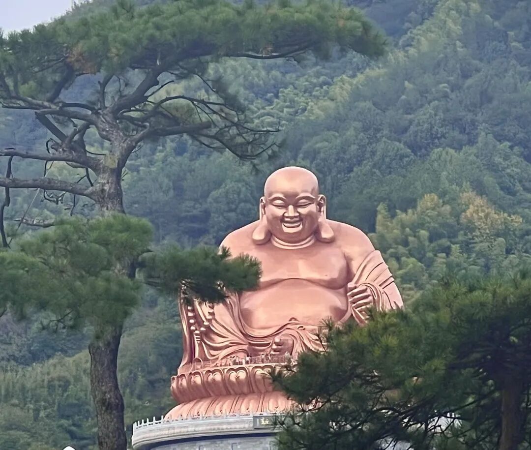 同样在下跌，哪个能抄底？