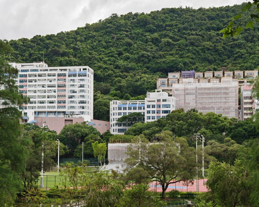 10月上旬，香港中文大学公布的信息显示，今年该校已共堵截数百宗怀疑假学历申请