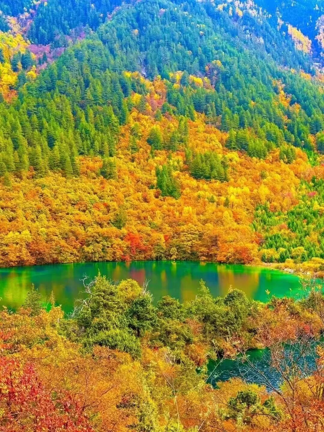 同城信息月抛为何浪费60%预算？三招实现降本50%的高效流转