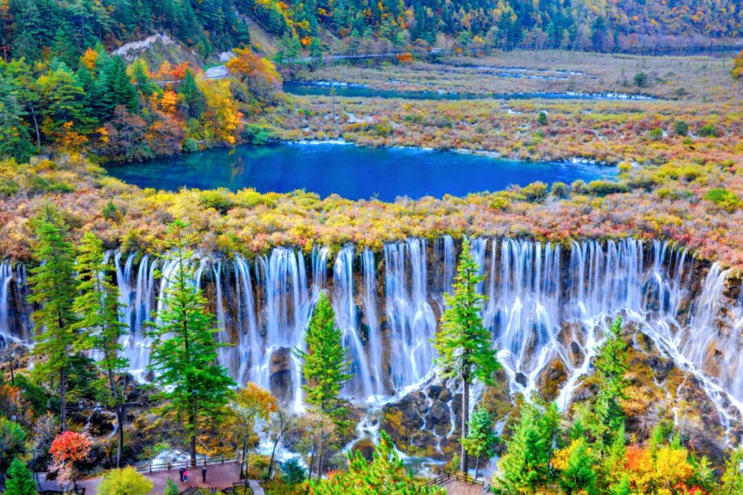 附近找茶难在哪 如何用3公里内省60%时间选茶攻略