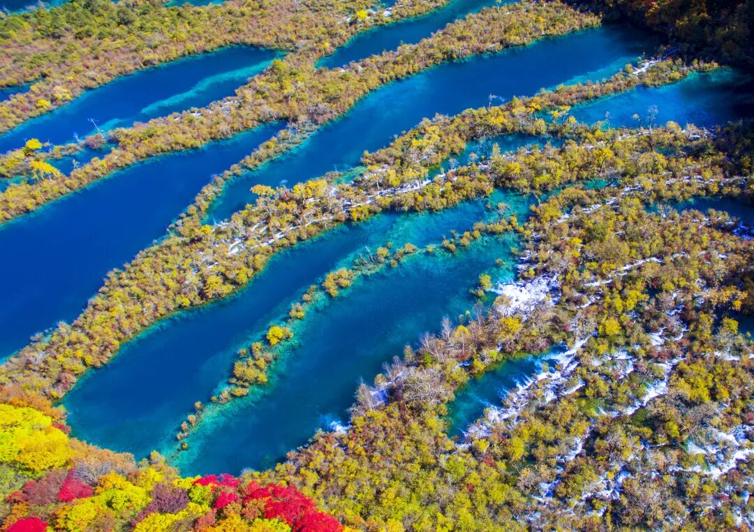 附近找茶难在哪？3公里内省60%时间的选茶攻略