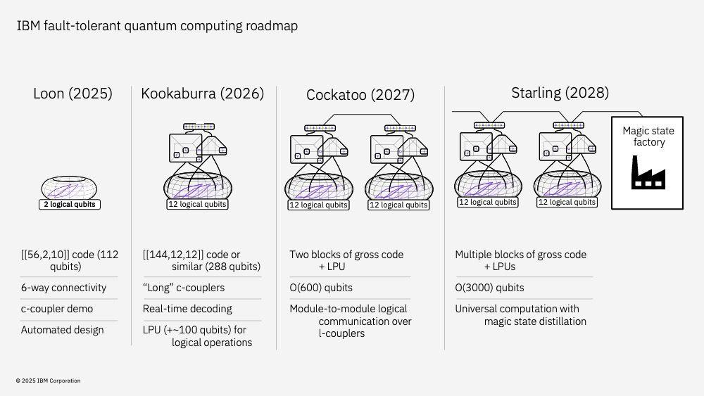 图 | IBM 项目发展路线图（来源： IBM）