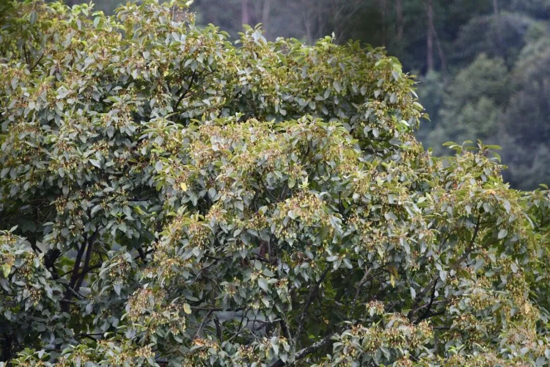 未来世界环境变化 人类文明发展预测