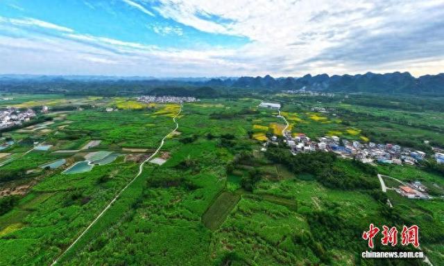 图为广西河池市宜州区安装有智能监测设备的桑园。喻湘泉 摄