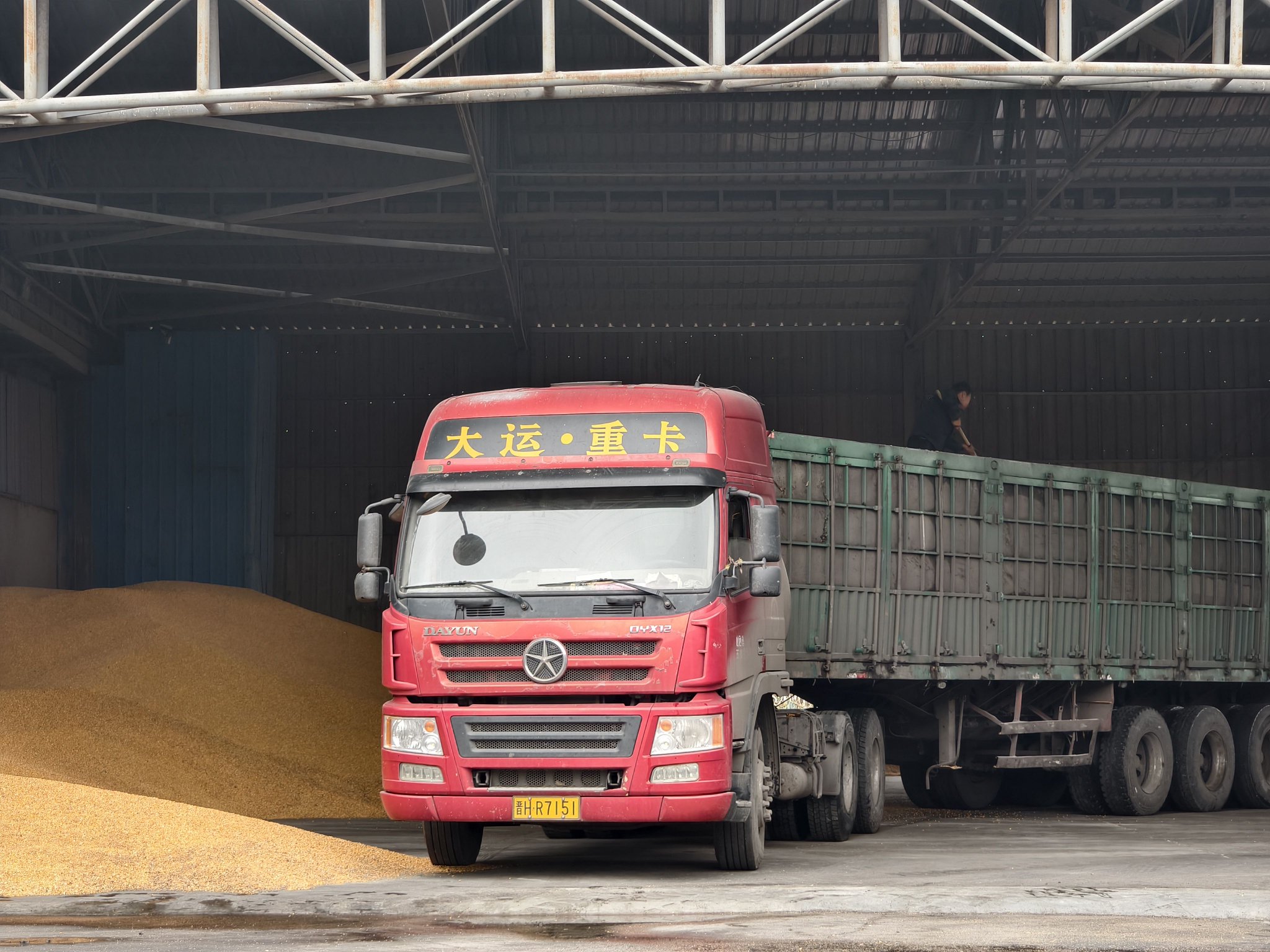 运粮车辆正在出库.图片来源:杨艺/摄