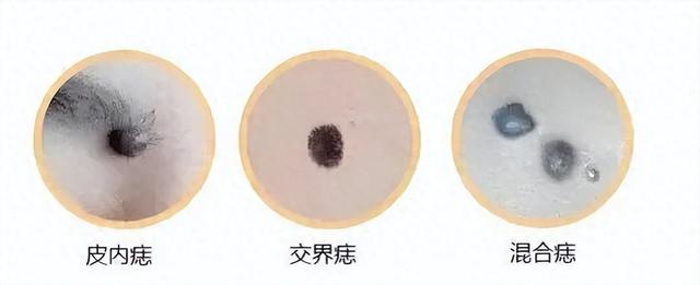 手机连不上WiFi怎么回事 WiFi无法上网解决方法