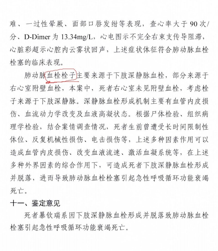 最高檢司法鑒定中心的鑒定意見（部分）