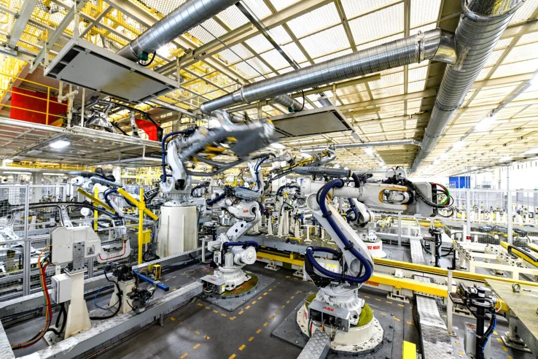 3亿年前的螺丝镶嵌在石块中,揭开了一个史前的巅峰时...