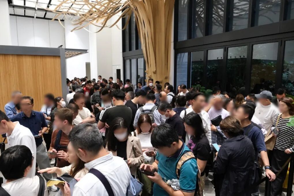 forest什么意思 forest可数还是不可数名词