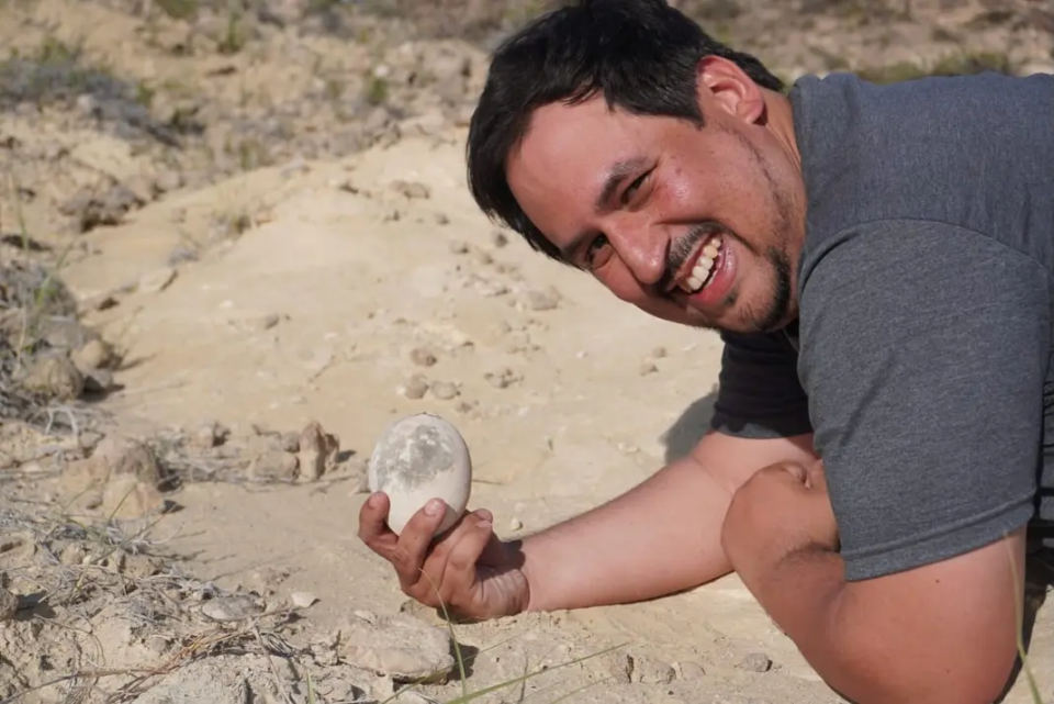 阿根廷发现7000万年前完整恐龙蛋，能否提取DNA复活这种恐龙？