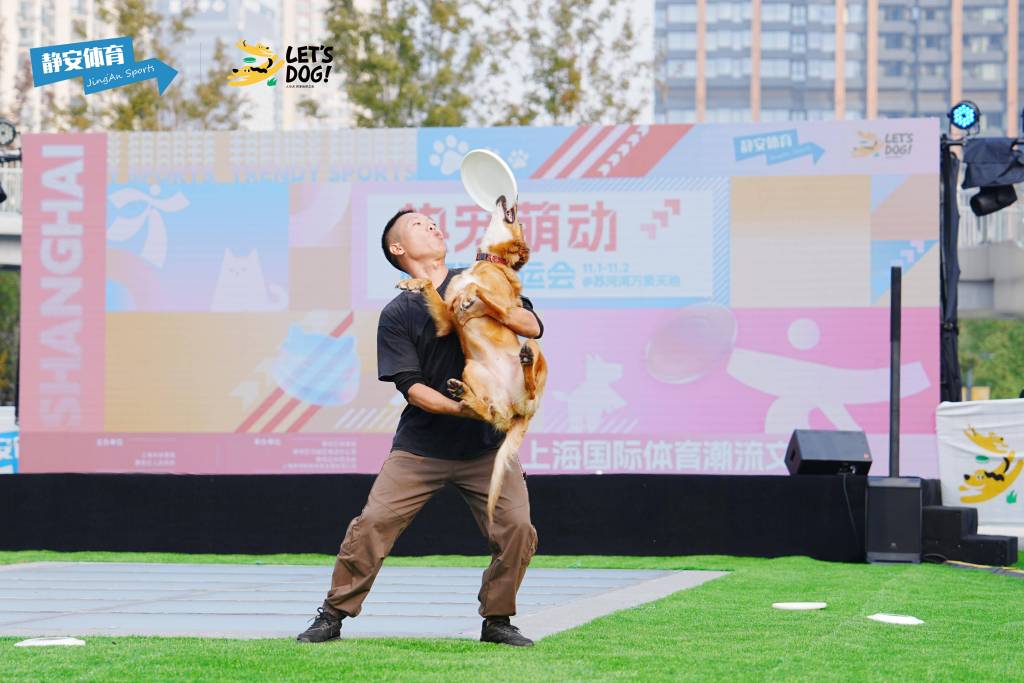 IIS 自动申请和部署SSL证书 路由器和协议设置有哪些步骤