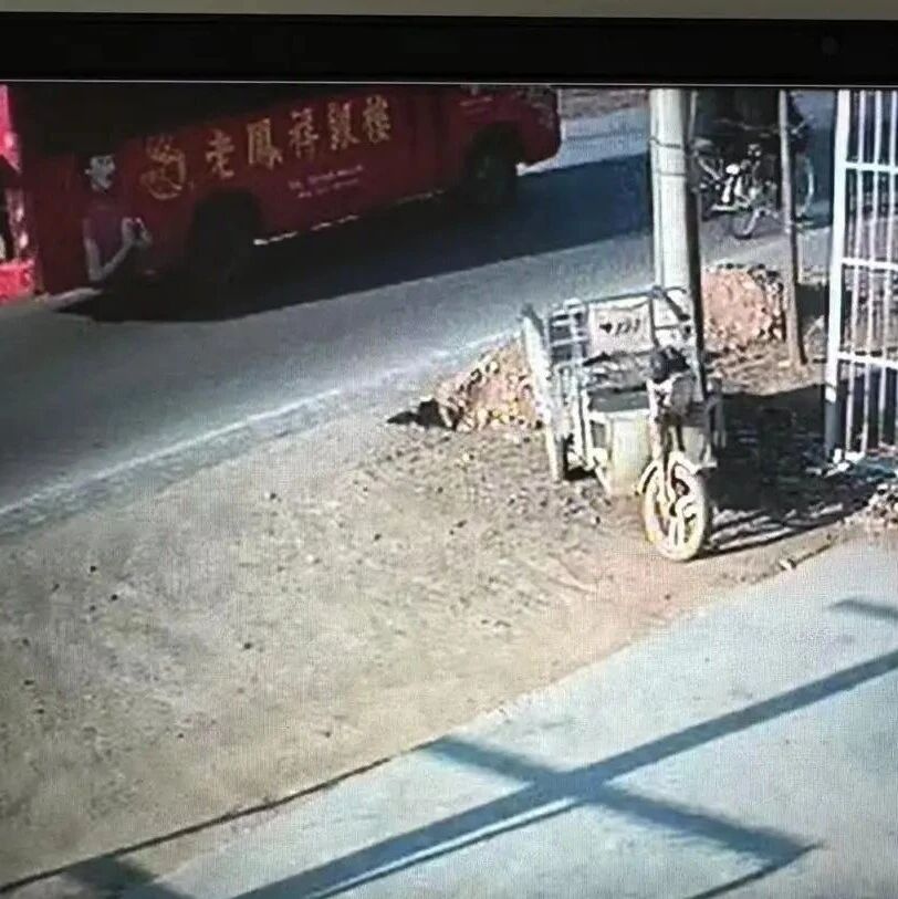 退休警察实名举报“11年前事故肇事司机存疑”：78岁老人车祸重伤后离世，当年鉴定疑未勘验实车