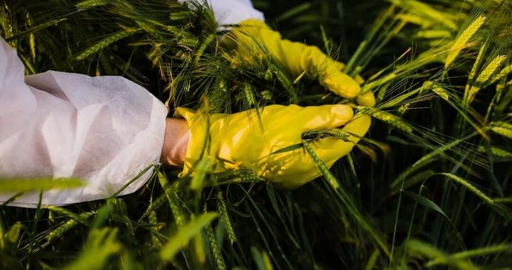 领馆人员带队“走访调查”我国重要农业产区，国安机关及时制止