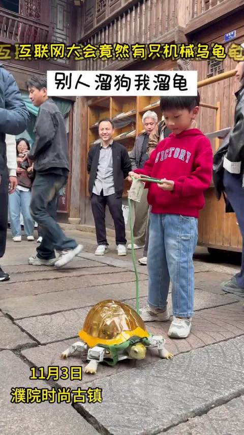 在古镇遛仿生龟是什么体验?现在不仅遛机器狗还遛机器乌龟了_新浪新闻