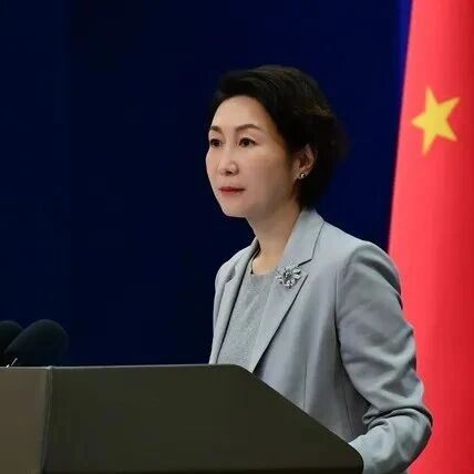 外交部：中方不得不投下弃权票