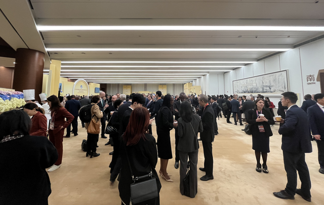 开幕式候场时，各国参会嘉宾彼此沟通交谈。澎湃新闻记者 邹娟 图