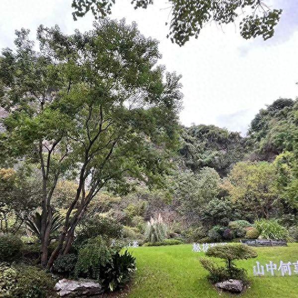 iis配置环境教程