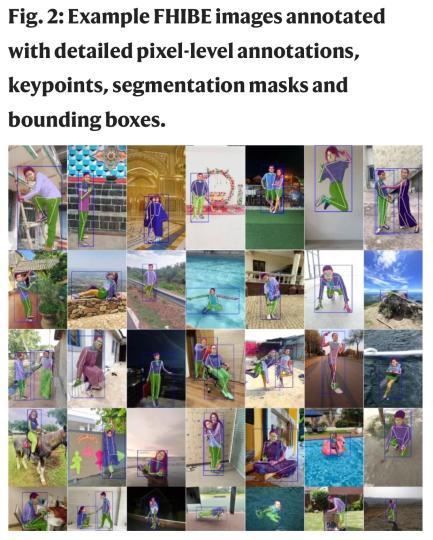 本项研究的相关图像数据(图片来自论文)。施普林格·自然 供图