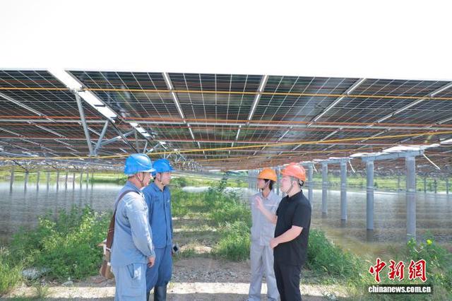 南方电网广西电网公司积极优化新能源并网流程，推出“一站式”办电服务。廖柳伶 摄