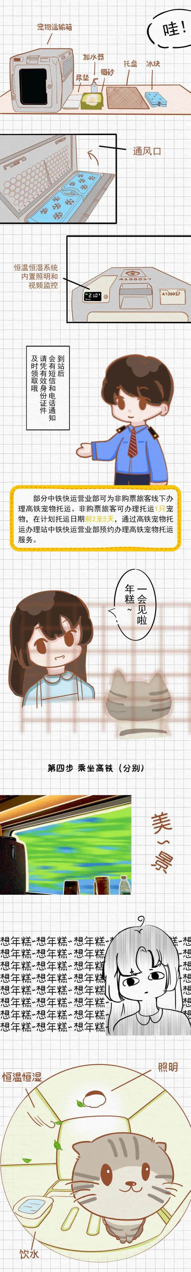 最新公布的瑞安50元小巷子2025年有没有？一文带你预测趋势和实地走访情况