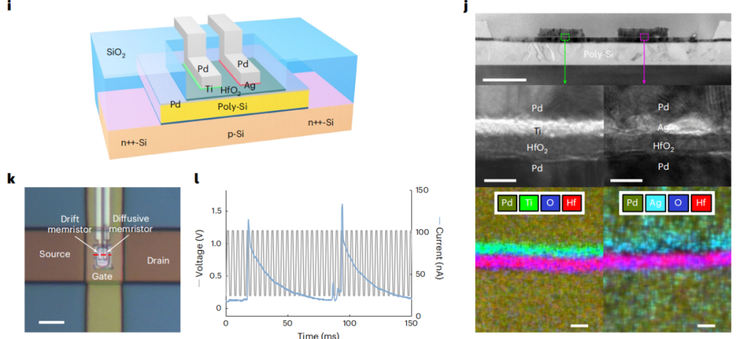 （来源：https://www.nature.com/articles/s41928-025-01488-x）