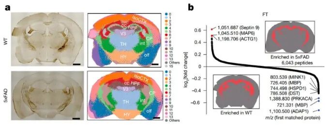 （来源：Nature）