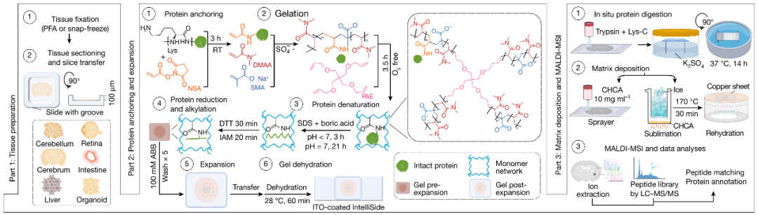 （来源：Nature）