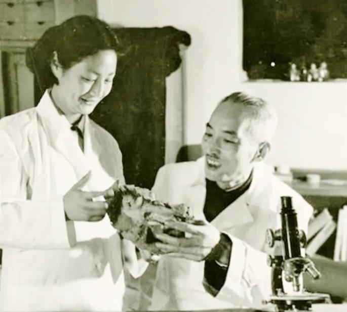 1953年郑儒永（左）与戴芳澜（右）在实验室